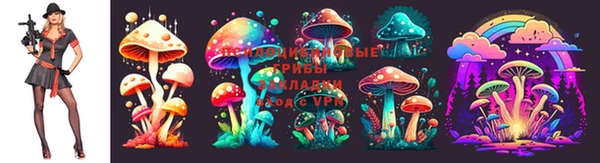 марки nbome Баксан